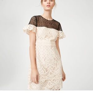 Club Monaco Wollstan Dress